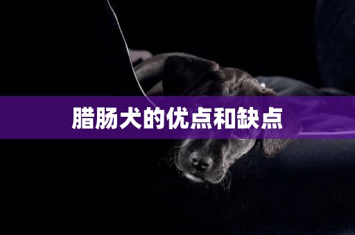 臘腸犬的優點和缺點