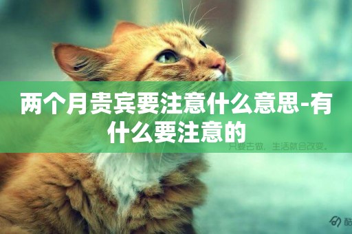 兩個月貴賓要注意什么意思-有什么要注意的