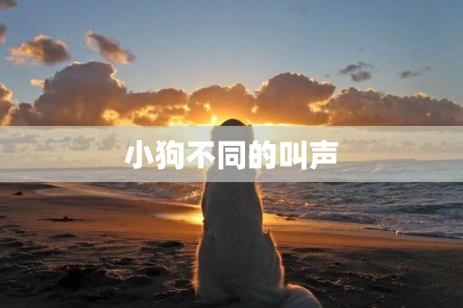 小狗不同的叫聲