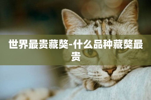 世界最貴藏獒-什么品種藏獒最貴