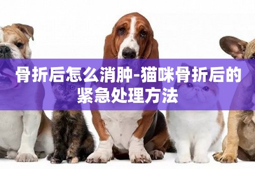 骨折后怎么消腫-貓咪骨折后的緊急處理方法