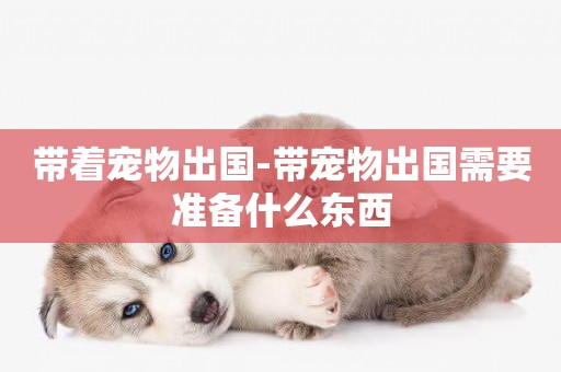 帶著寵物出國-帶寵物出國需要準備什么東西