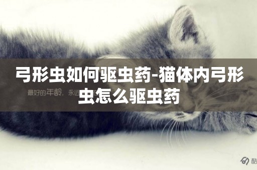 弓形蟲如何驅蟲藥-貓體內弓形蟲怎么驅蟲藥