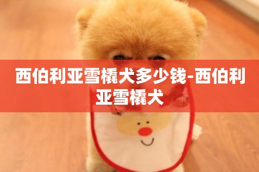 西伯利亞雪橇犬多少錢-西伯利亞雪橇犬