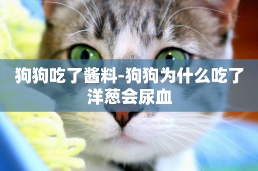 狗狗吃了醬料-狗狗為什么吃了洋蔥會尿血