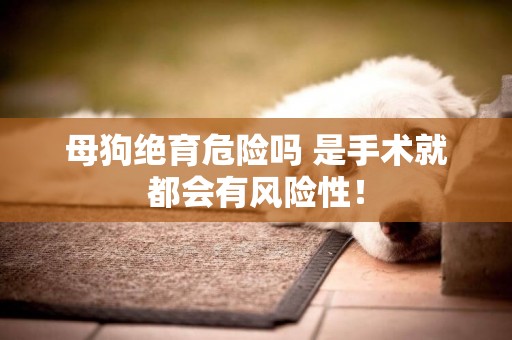 母狗絕育危險嗎 是手術就都會有風險性！