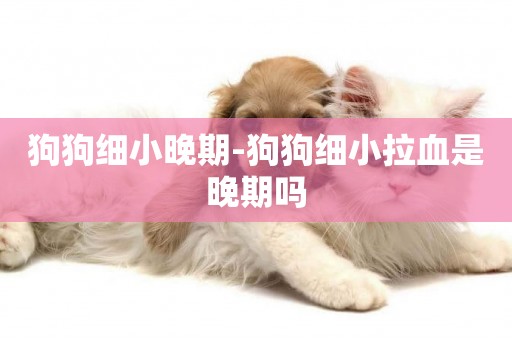 狗狗細小晚期-狗狗細小拉血是晚期嗎
