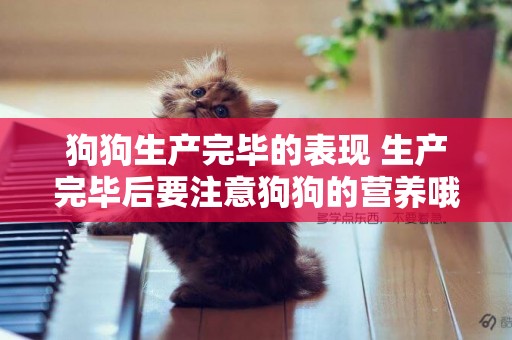 狗狗生產完畢的表現 生產完畢后要注意狗狗的營養哦！