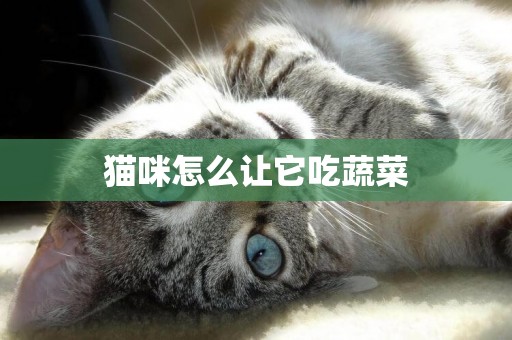 貓咪怎么讓它吃蔬菜