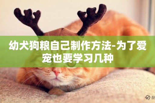 幼犬狗糧自己制作方法-為了愛寵也要學習幾種