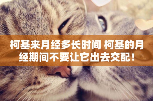 柯基來月經多長時間 柯基的月經期間不要讓它出去交配！