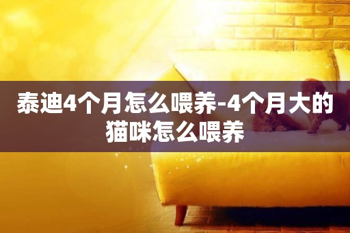 泰迪4個月怎么喂養-4個月大的貓咪怎么喂養