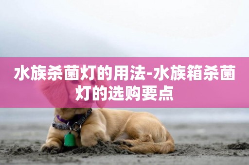 水族殺菌燈的用法-水族箱殺菌燈的選購要點