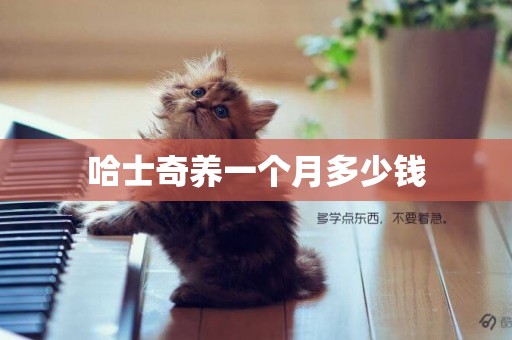 哈士奇養一個月多少錢