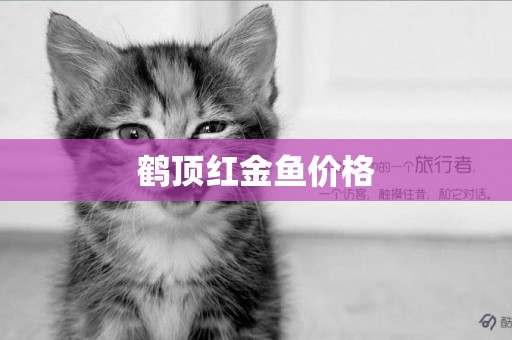 鶴頂紅金魚價格