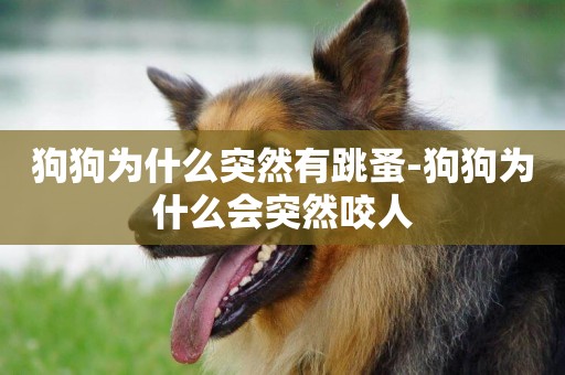 狗狗為什么突然有跳蚤-狗狗為什么會突然咬人