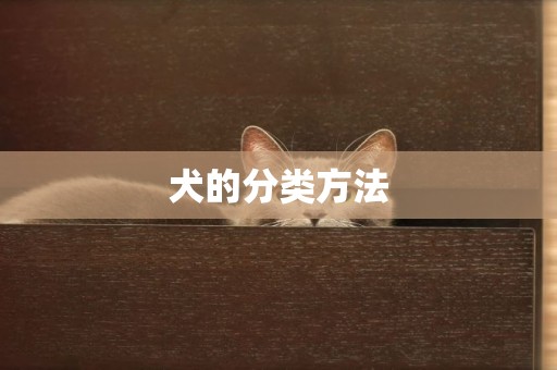 犬的分類方法