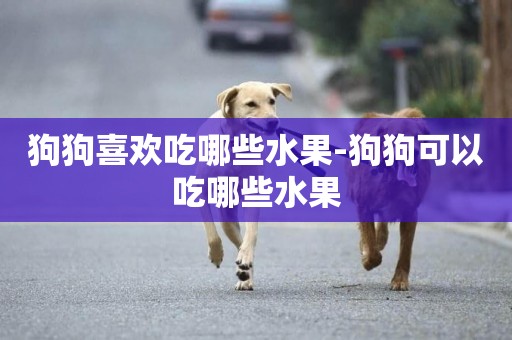 狗狗喜歡吃哪些水果-狗狗可以吃哪些水果