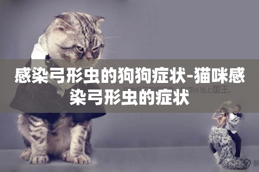 感染弓形蟲的狗狗癥狀-貓咪感染弓形蟲的癥狀