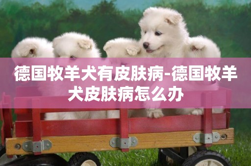 德國牧羊犬有皮膚病-德國牧羊犬皮膚病怎么辦