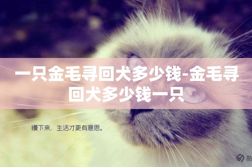 一只金毛尋回犬多少錢-金毛尋回犬多少錢一只