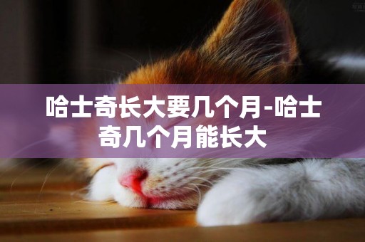 哈士奇長大要幾個月-哈士奇幾個月能長大