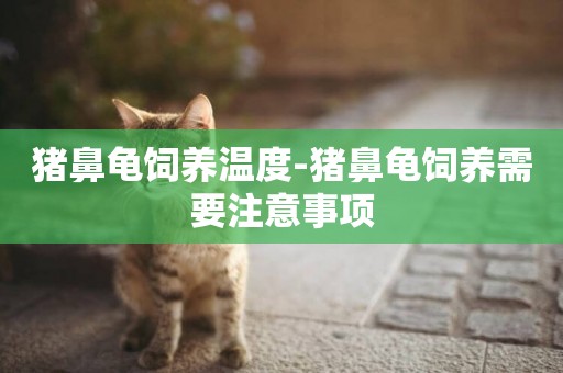 豬鼻龜飼養溫度-豬鼻龜飼養需要注意事項