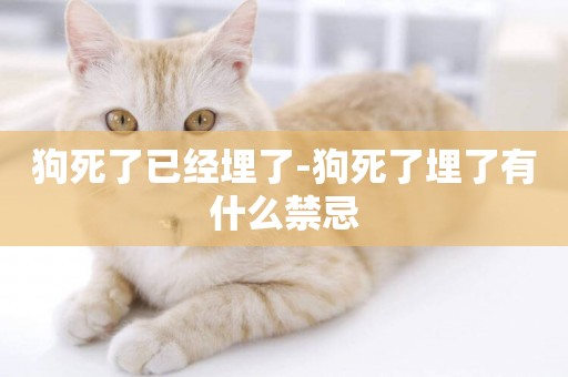 狗死了已經埋了-狗死了埋了有什么禁忌