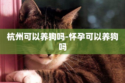杭州可以養狗嗎-懷孕可以養狗嗎