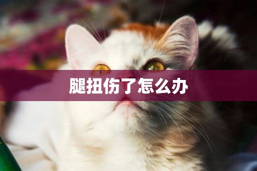腿扭傷了怎么辦