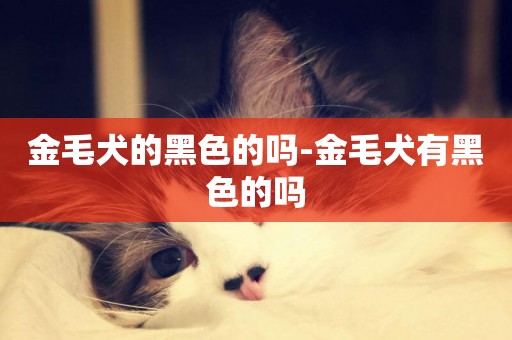 金毛犬的黑色的嗎-金毛犬有黑色的嗎