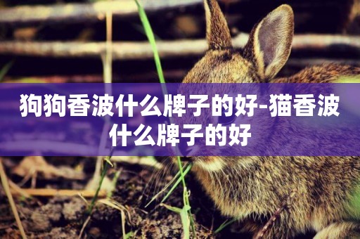 狗狗香波什么牌子的好-貓香波什么牌子的好