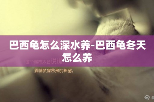 巴西龜怎么深水養-巴西龜冬天怎么養