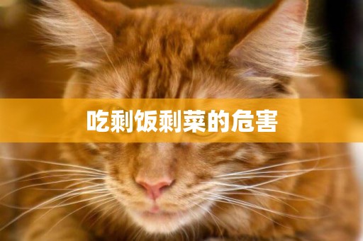 吃剩飯剩菜的危害