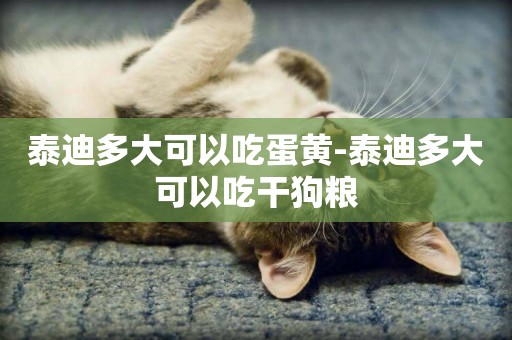 泰迪多大可以吃蛋黃-泰迪多大可以吃干狗糧
