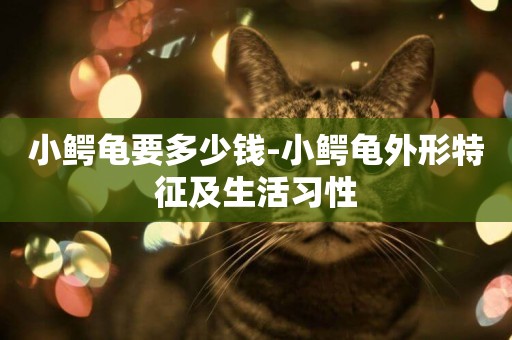 小鱷龜要多少錢-小鱷龜外形特征及生活習性
