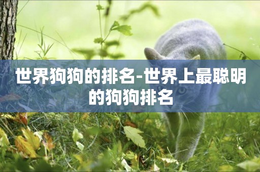 世界狗狗的排名-世界上最聰明的狗狗排名