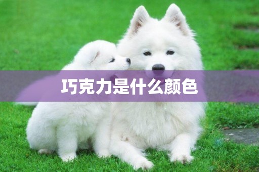 巧克力是什么顏色