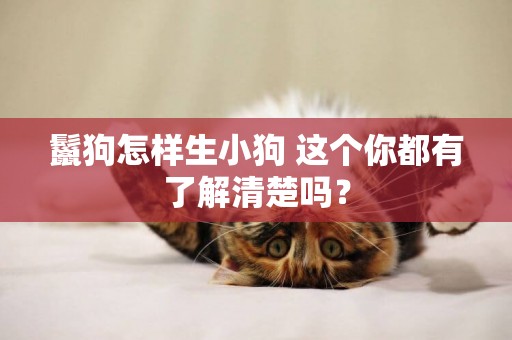鬣狗怎樣生小狗 這個你都有了解清楚嗎？