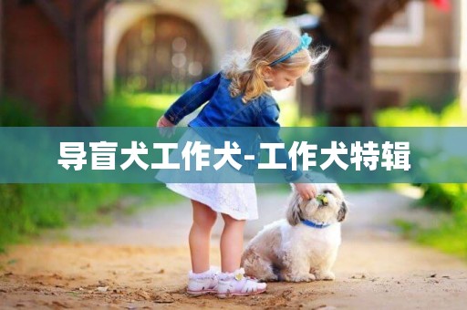 導盲犬工作犬-工作犬特輯
