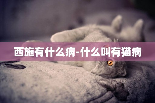 西施有什么病-什么叫有貓病