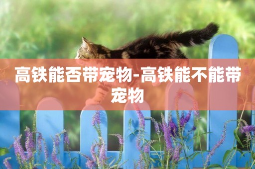 高鐵能否帶寵物-高鐵能不能帶寵物