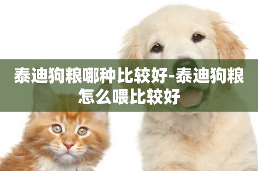 泰迪狗糧哪種比較好-泰迪狗糧怎么喂比較好