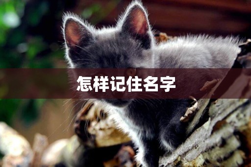 怎樣記住名字