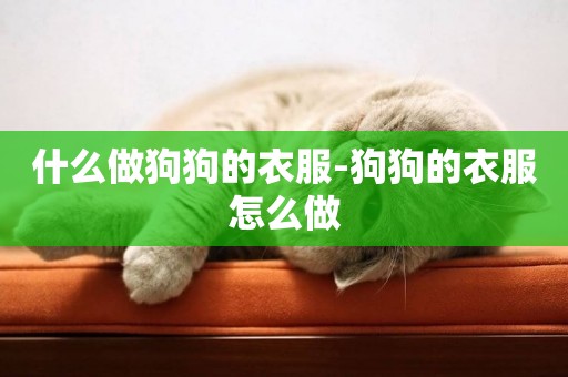 什么做狗狗的衣服-狗狗的衣服怎么做