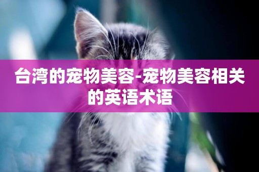 臺灣的寵物美容-寵物美容相關的英語術語