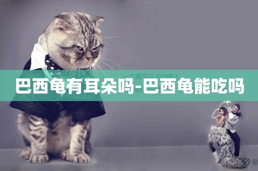 巴西龜有耳朵嗎-巴西龜能吃嗎