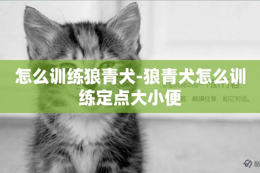 怎么訓練狼青犬-狼青犬怎么訓練定點大小便