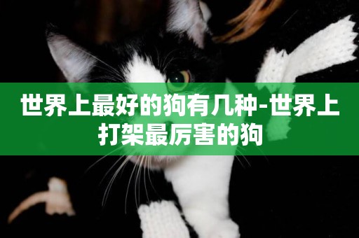 世界上最好的狗有幾種-世界上打架最厲害的狗