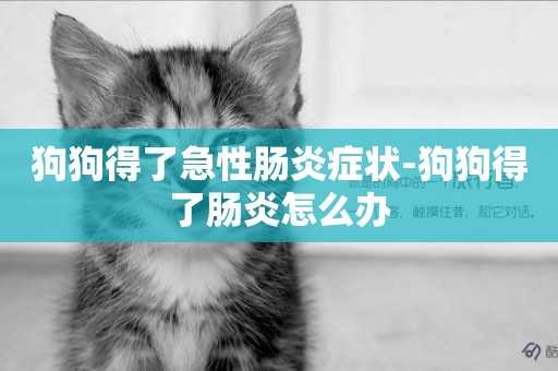 狗狗得了急性腸炎癥狀-狗狗得了腸炎怎么辦